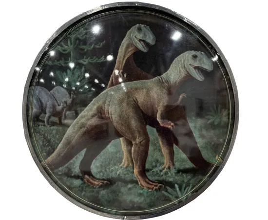 Thomas Mailaender, Les lentilles, 2025