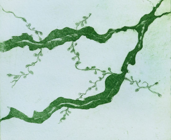 Sarah Seddon, Seaweed found at Towan Beach