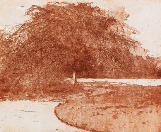 Sarah Seddon, Copper Beech