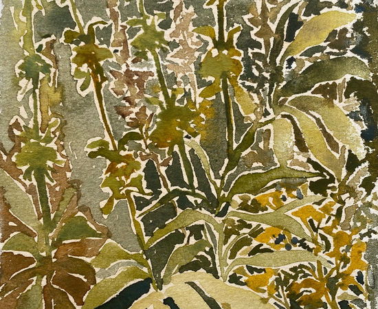 Beatrice Hasell-McCosh , Sputniks , 2025