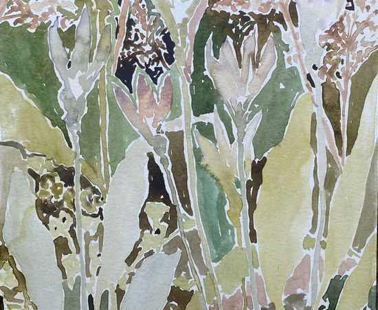 Beatrice Hasell-McCosh , Crocus (Kew), 2025