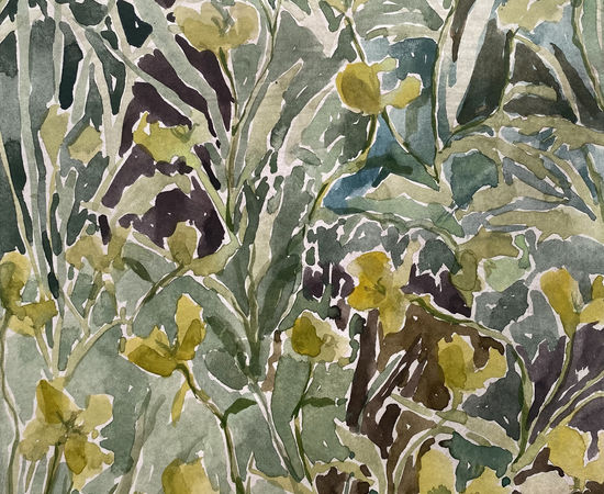 Beatrice Hasell-McCosh, Buttercups , 2022