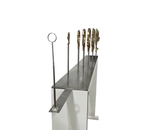 JONTY HURWITZ, SINGULARITY, 2010