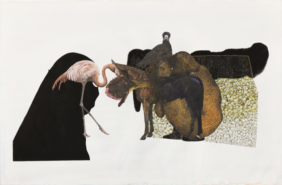 Avishek Sen, He's Not Here to Give a Speech 1, 2017