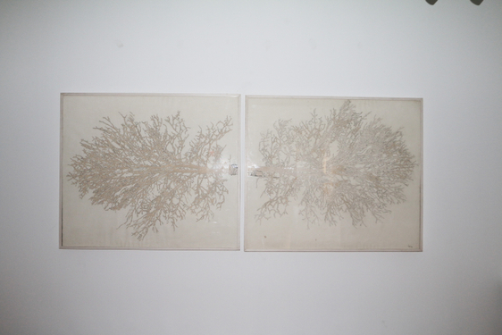 G. R. Iranna, Untitled, 2016