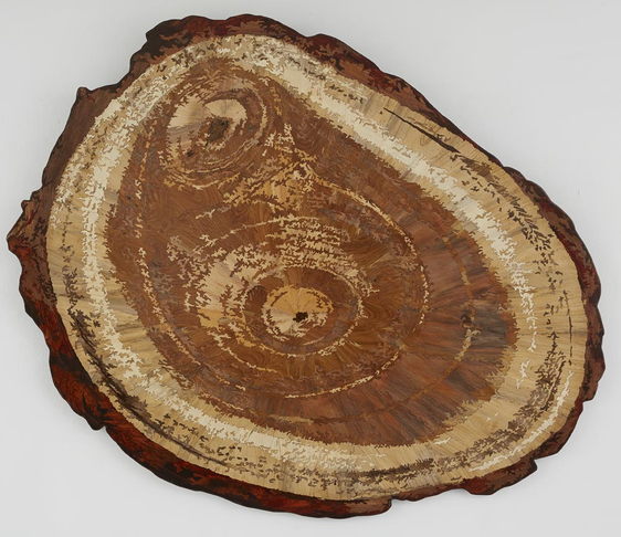 L. N. Tallur, Graft F, 2011