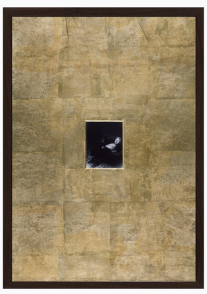 Imperial Portrait or His Real Shadow, 2022