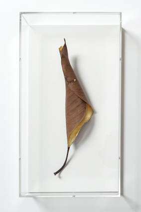 Gold leaf (sometimes to not do nothing I do something) #3, 2014