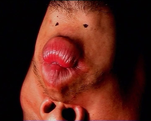 Fhe wav a very veautiful woman..., 2001