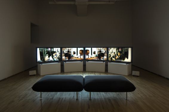 Theatre Dreams of a Beautiful Afternoon, 2010-2014