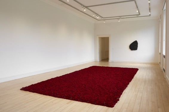 Anya Gallaccio, NOW: Anya Gallaccio, 1 June – 22 September 2019