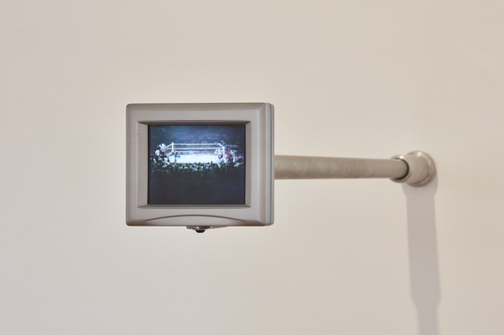 Paul Pfeiffer, Long Count (Thrilla in Manila), 2001