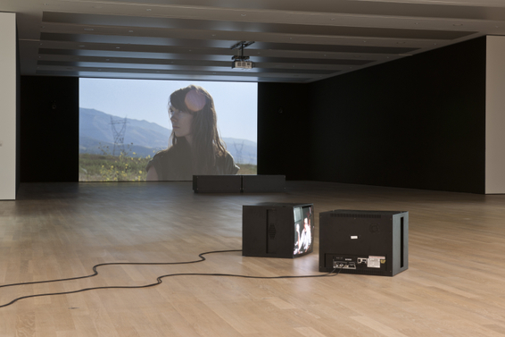 Amie Siegel, Black Moon, 2010