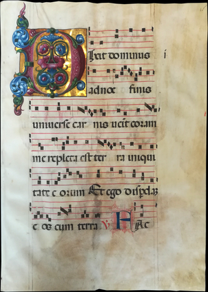 Northern Italian Illuminator, Initial 'D'