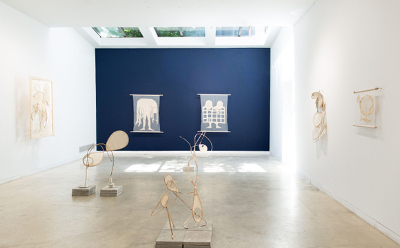 Shradha Kochhar | Domestic Cadence of Unraveling