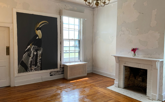 Traces | Governors Island