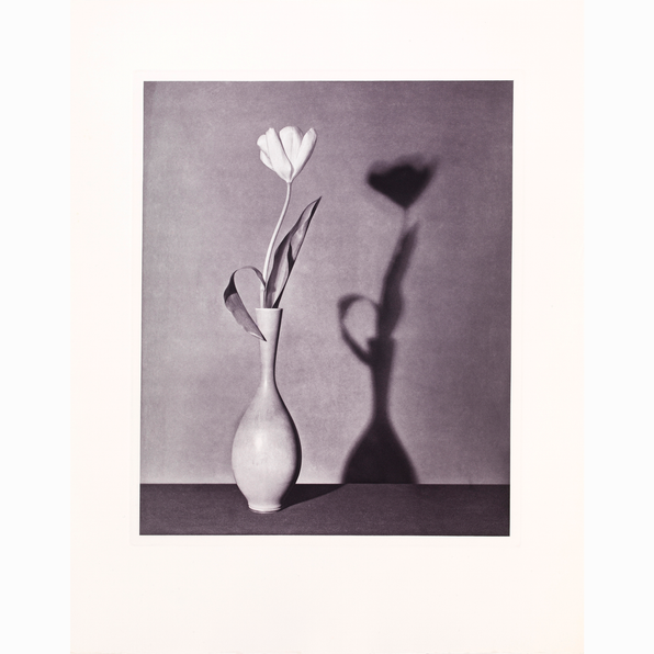 Barbara Gladstone Gallery