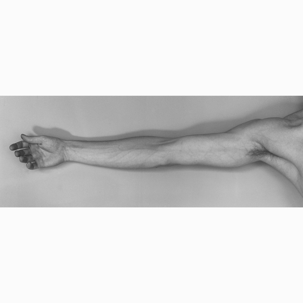 Galerie Baudoin Lebon