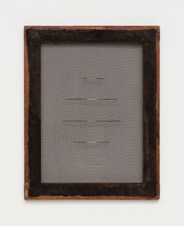 Paloma Bosquê, Espinhos #4 | Thorns #4, 2018