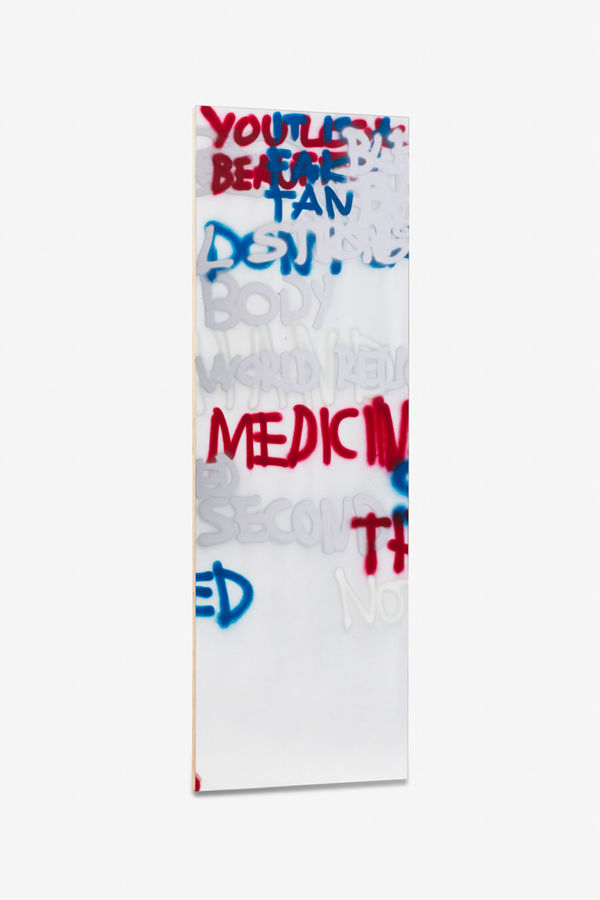 Stefan Bruggemann, Medicine, 2013