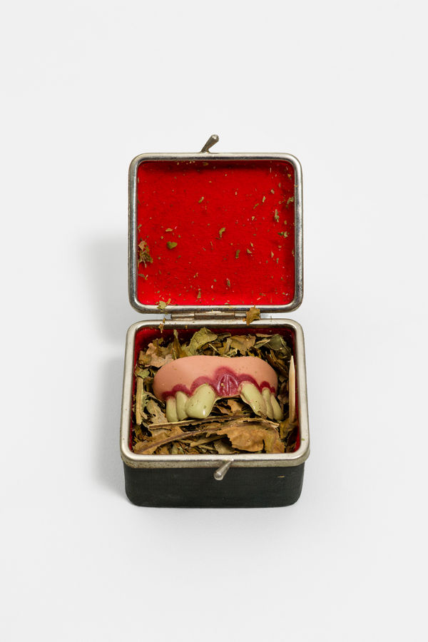 Paulo Nazareth, Sorriso de Mona Lisa, 2008