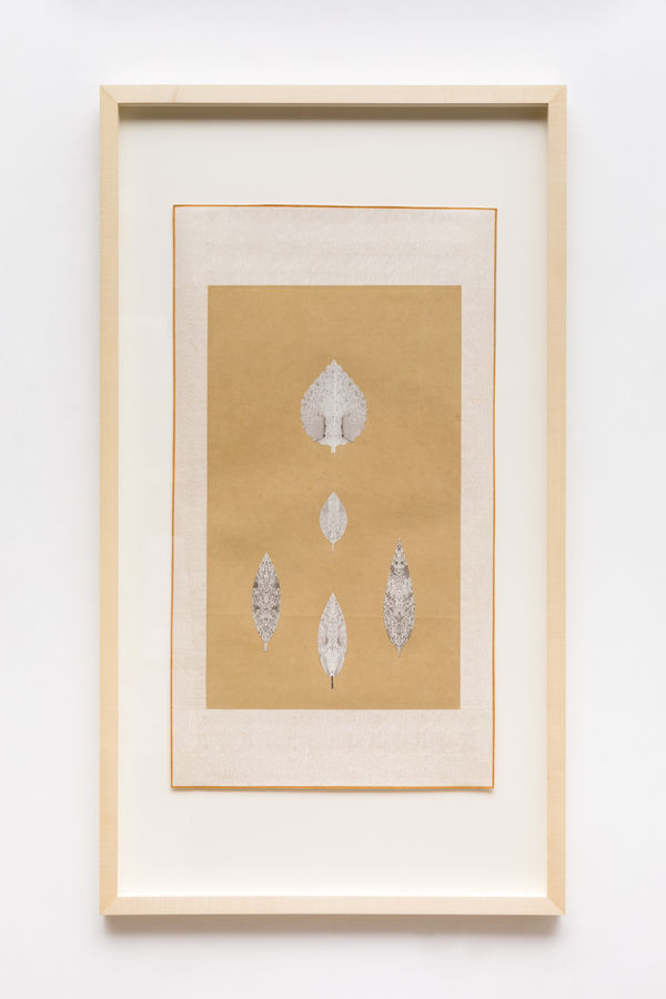 Anonymous (Bruce Conner), MORNING LEAVES, SEPTEMBER 12, 2001, 2001