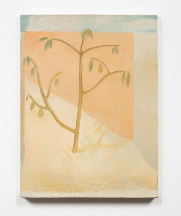 Paula Siebra, Quintal (Backyard), 2020