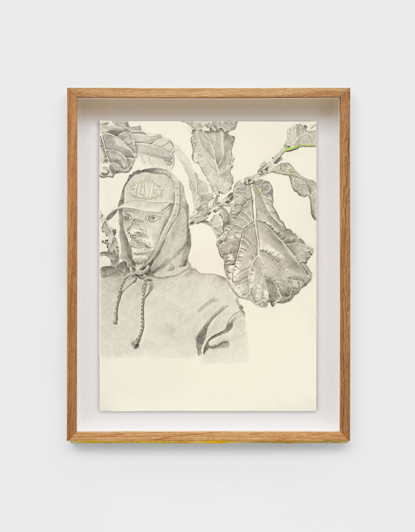 Kent O'Connor, Kris and Fig Tree, 2025