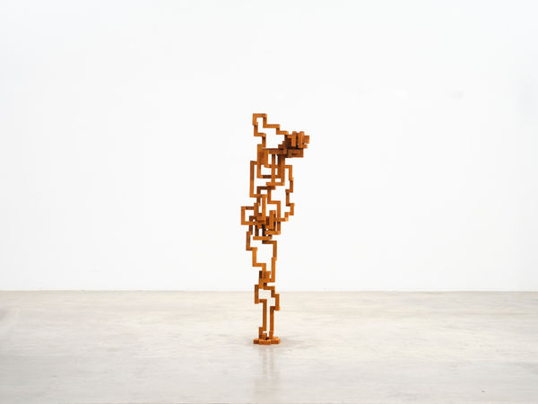 Antony Gormley, THREAD, 2022
