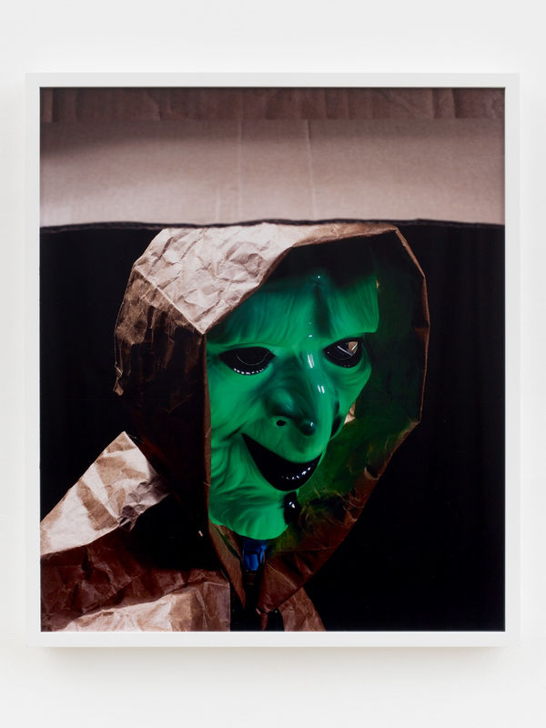 Pierre Seiter, Le masque vert, 2020