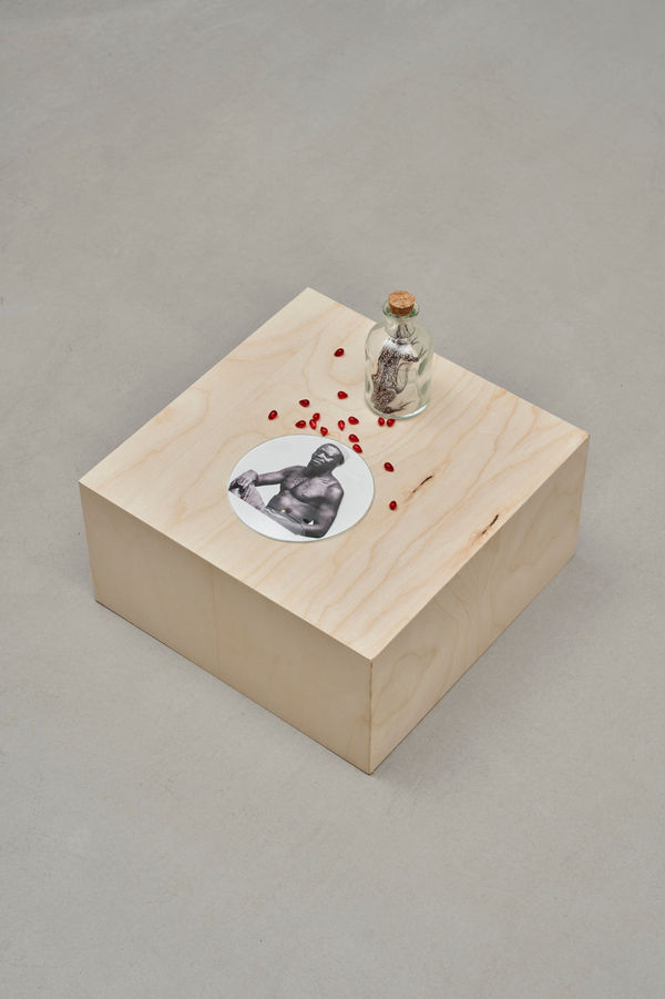 Rosana Paulino, Untitled | Sem Título, 2025