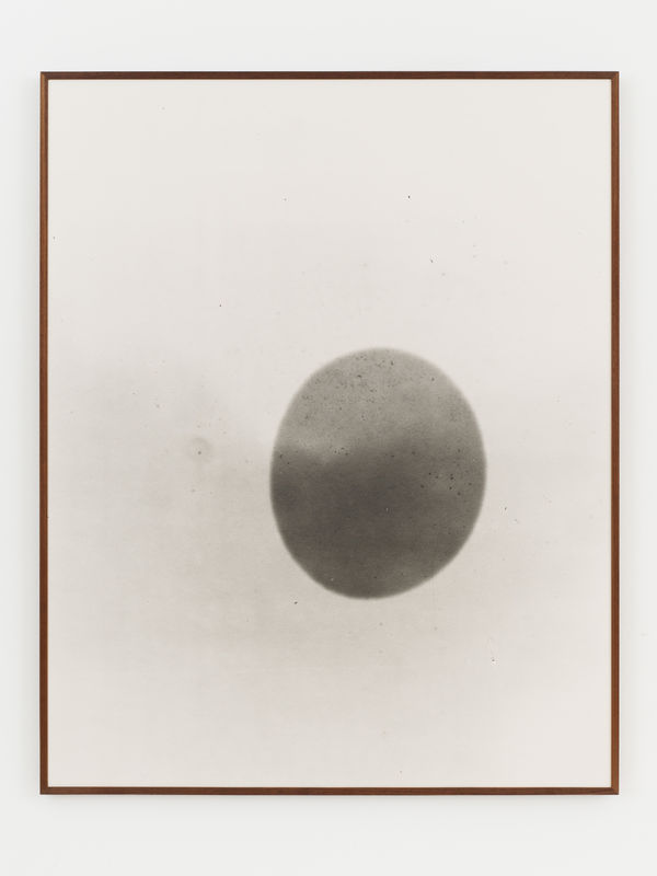 Leticia Ramos, Eclipse 01, 2024