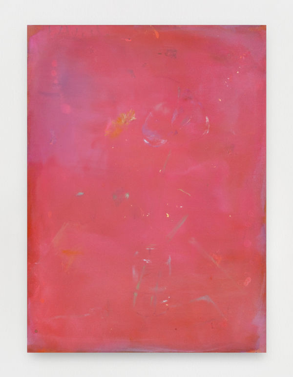 Maaike Schoorel, Flowers in Luminous Pink, 2024