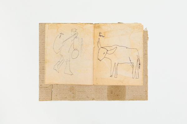 Paulo Nazareth, toro, 2000/2010