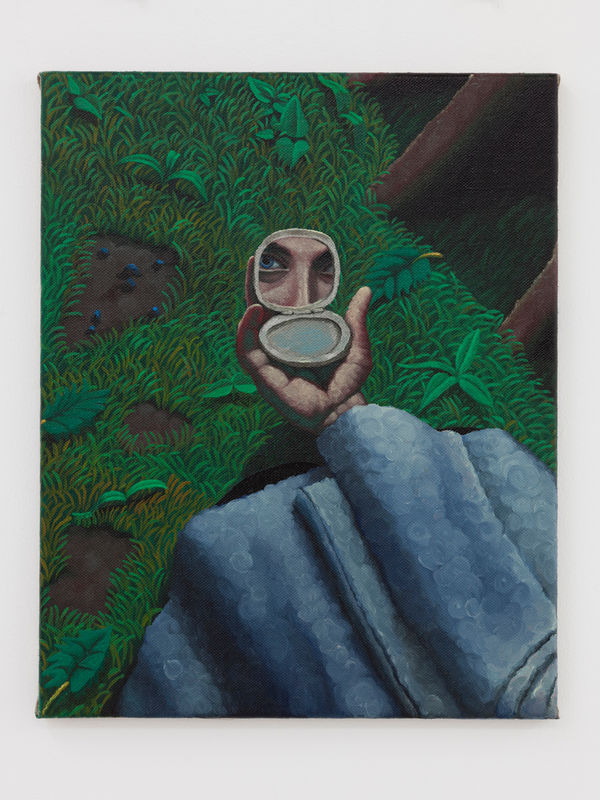 Bendt Eyckermans, A wild strawberry, 2018