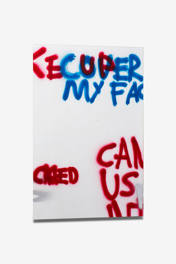 Stefan Bruggemann, Cover My Face, 2013