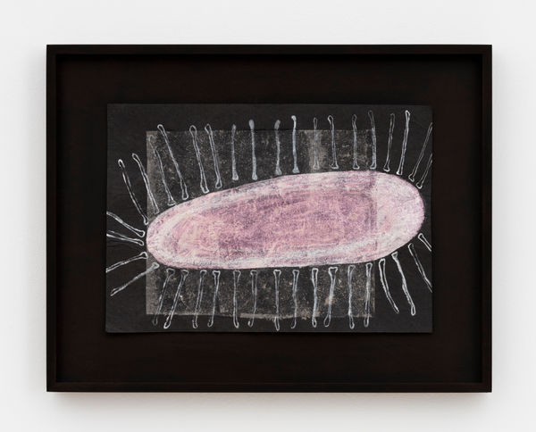 Paloma Bosquê, Drawing / Desenho, 2020