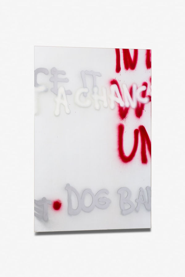 Stefan Bruggemann, Dog God, 2013