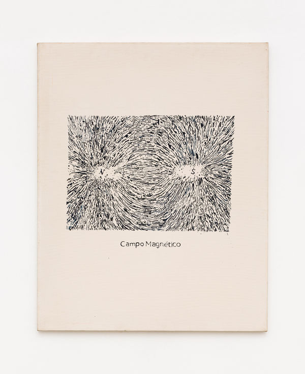 Deyson Gilbert, Campo Magnético, 2018