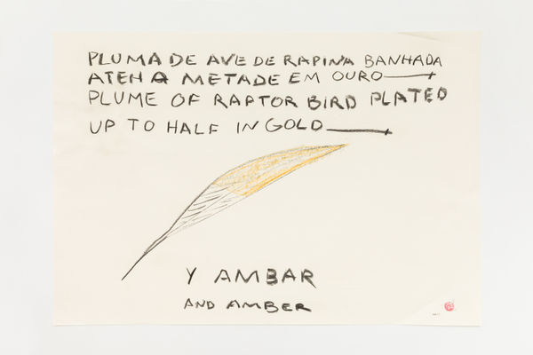 Paulo Nazareth, PLUMA DE AVE DE RAPINA BANHADA ATEH A METADE EM OURO Y AMBAR | PLUME OF RAPTOR BIRD PLATED UP TO HALF IN GOLD AND AMBER , 2020