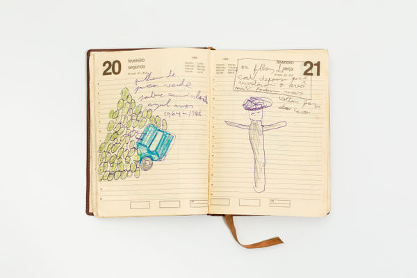 Paulo Nazareth, jaca caminhão azul, 2000/2010