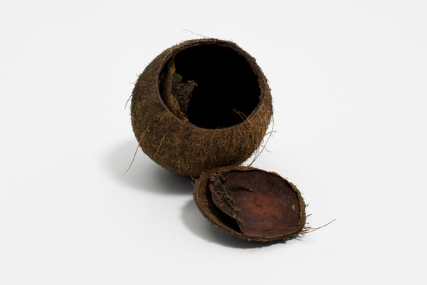 Paulo Nazareth, coco, 2019