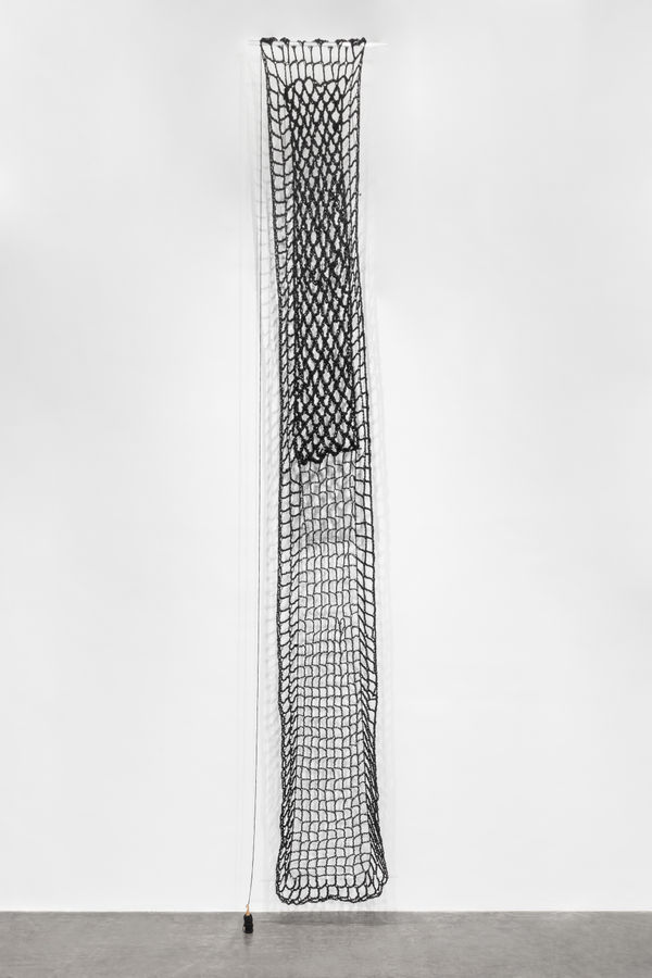 ektor garcia, maya negra, 2023 - 2024