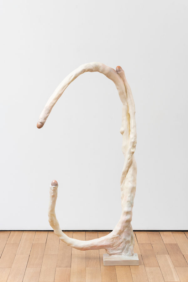Paloma Bosquê, Swan Tree / Árvore Cisne, 2022