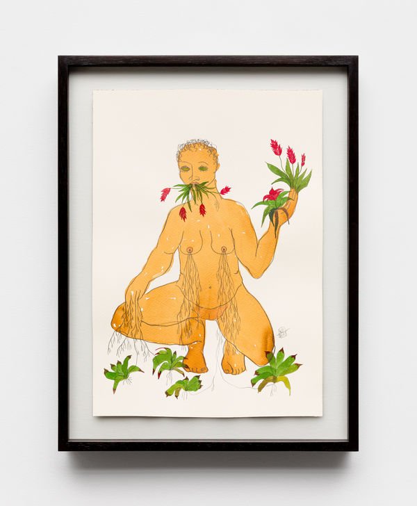 Rosana Paulino, Senhora das Plantas, 2025