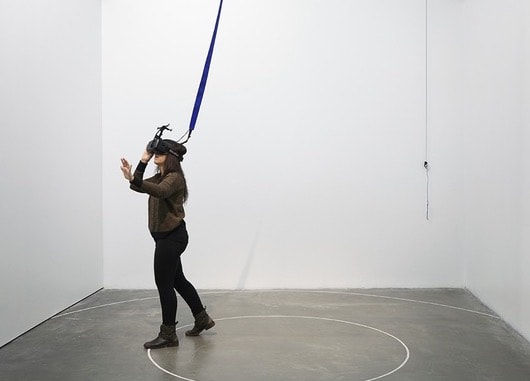 Daniel Steegmann Mangrané, Phantom (kingdom of all the animals and all the beasts is my name), 2014-2015