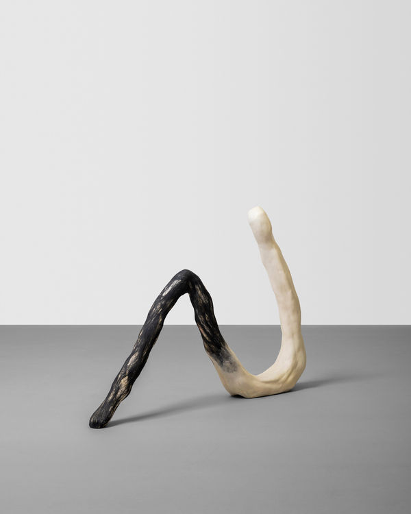 Paloma Bosquê, Fossile - From Three Suns, 2023