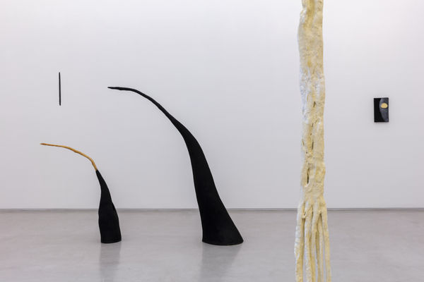 noite não noite sim Paloma Bosquê