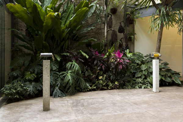 Polyethylene-Insulated Smear Nina Canell