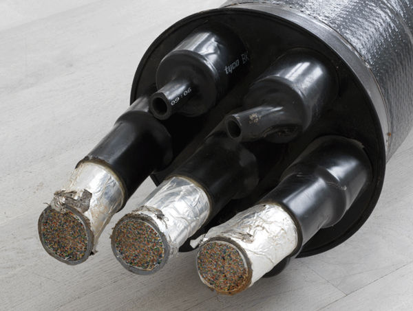 ROOTED – The Edstrand Foundation 75 Years